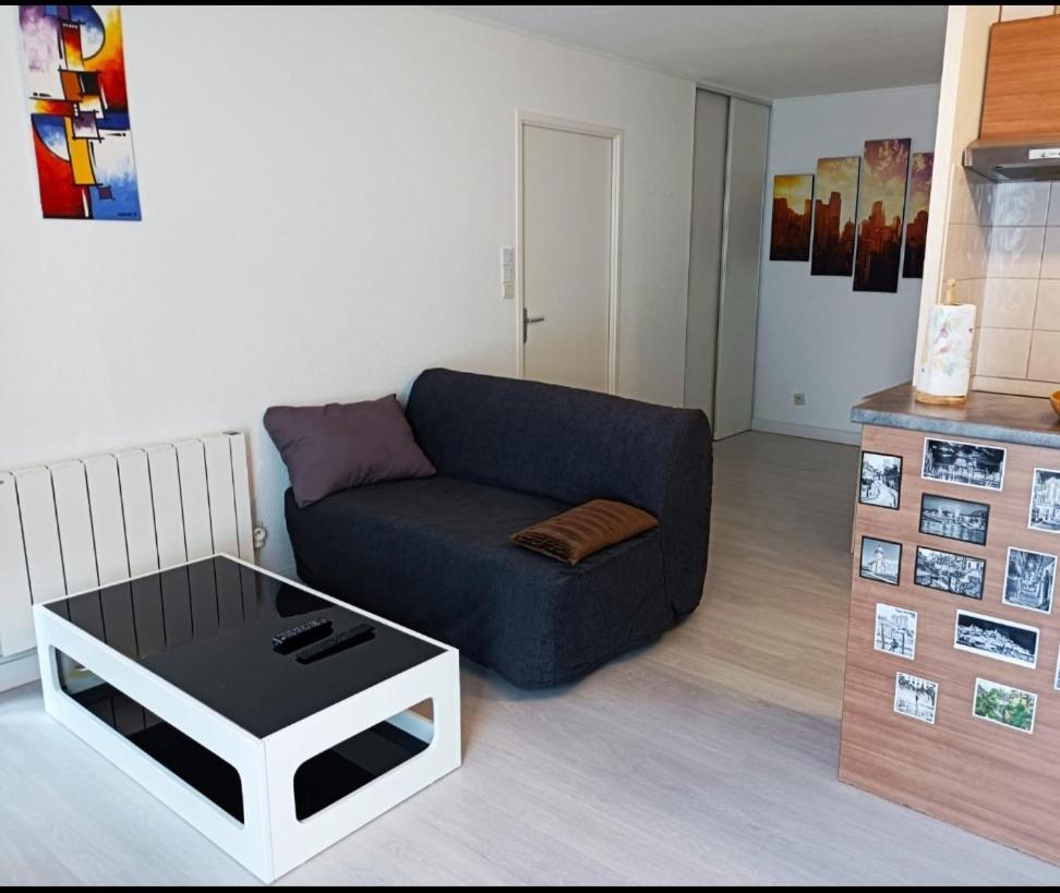 Ravissant Appartement T2 Proche Autoroute Et Centre-Ville Villefranche-sur-Saone Exterior photo